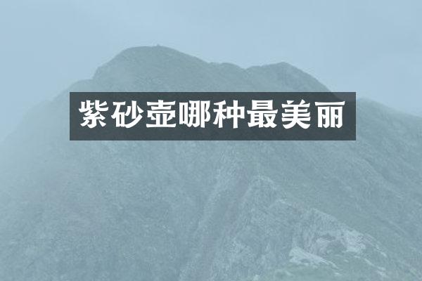 紫砂壶哪种最美丽