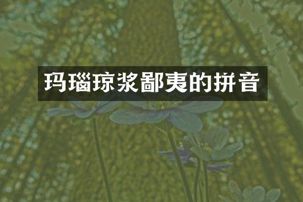 玛瑙琼浆鄙夷的拼音