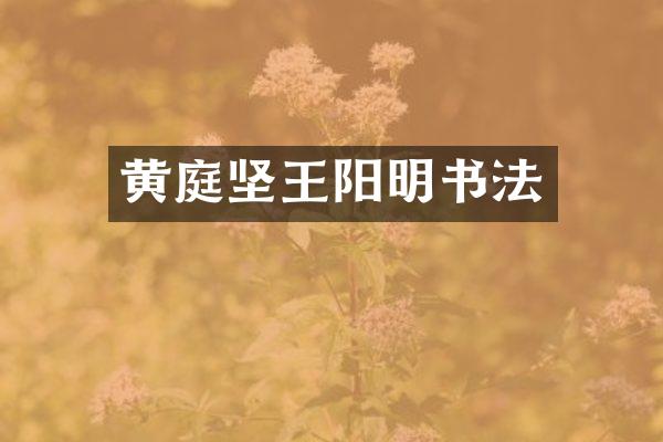 黄庭坚王阳明书法