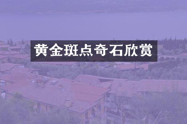 黄金斑点奇石欣赏