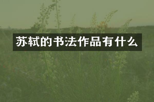 苏轼的书法作品有什么