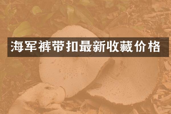 海军裤带扣最新收藏价格