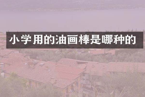 小学用的油画棒是哪种的