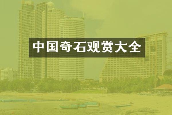中国奇石观赏大全