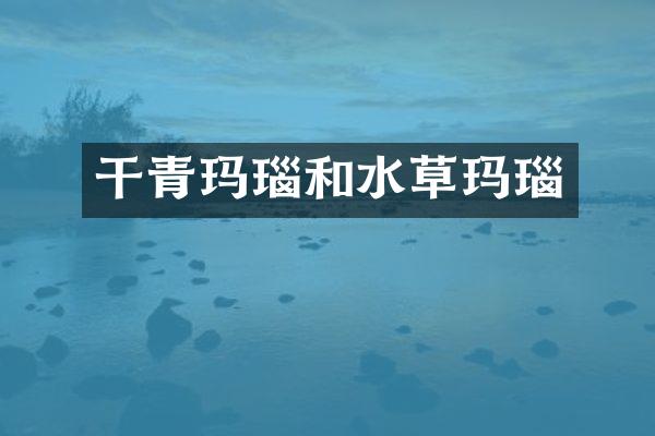 干青玛瑙和水草玛瑙