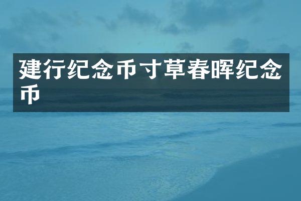 建行纪念币寸草春晖纪念币