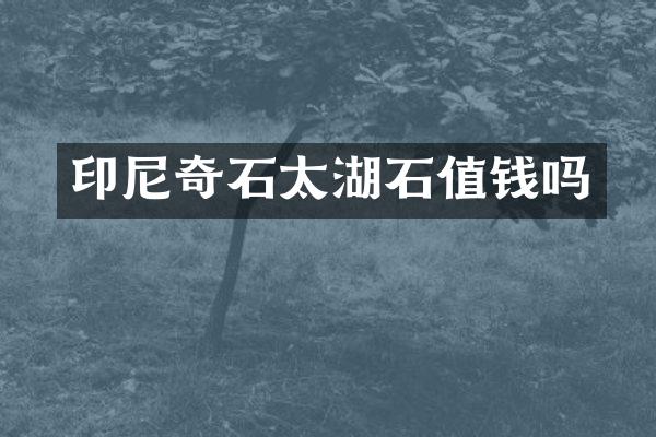 印尼奇石太湖石值钱吗