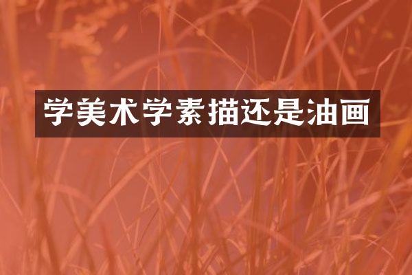 学美术学素描还是油画