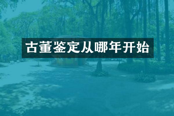 古董鉴定从哪年开始