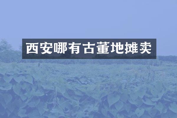 西安哪有古董地摊卖