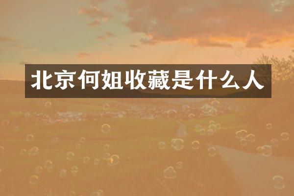北京何姐收藏是什么人
