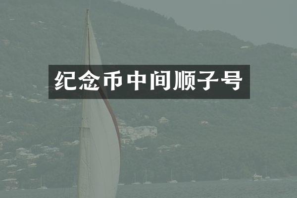 纪念币中间顺子号