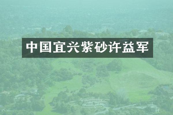 中国宜兴紫砂许益军