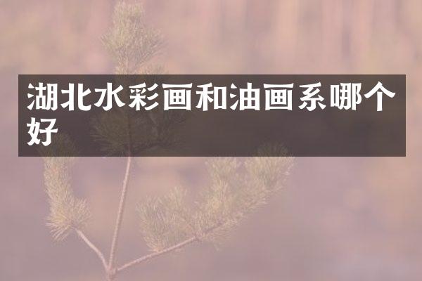 湖北水彩画和油画系哪个好
