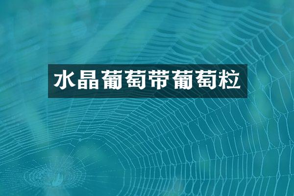 水晶葡萄带葡萄粒