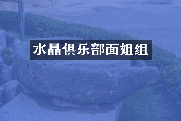 水晶俱乐部面姐组