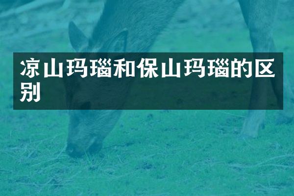 凉山玛瑙和保山玛瑙的区别