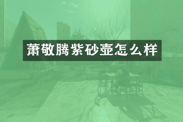 萧敬腾紫砂壶怎么样