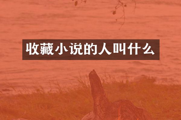 收藏小说的人叫什么