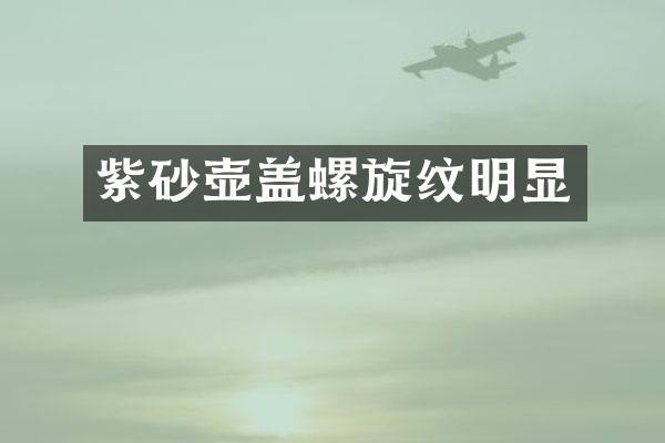 紫砂壶盖螺旋纹明显