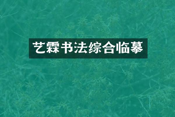艺霖书法综合临摹