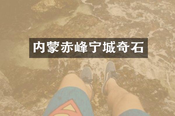 内蒙赤峰宁城奇石