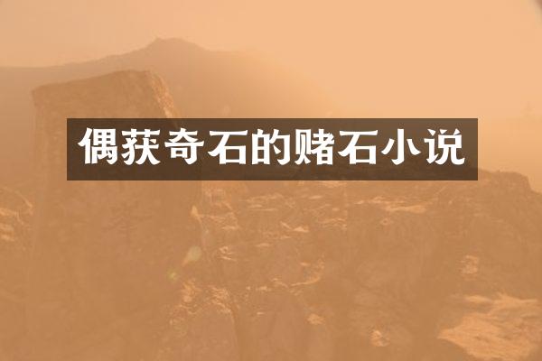 偶获奇石的赌石小说