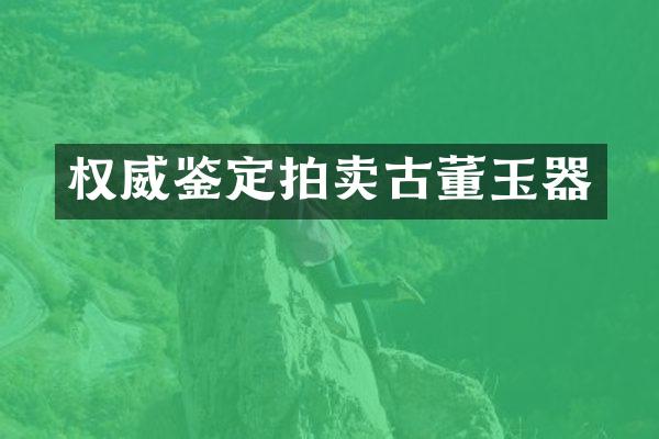 权威鉴定拍卖古董玉器