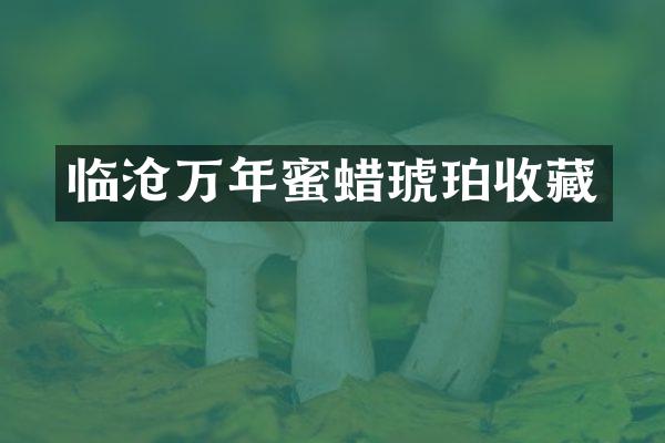 临沧万年蜜蜡琥珀收藏