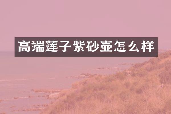 高端莲子紫砂壶怎么样