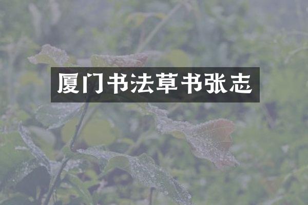 厦门书法草书张志