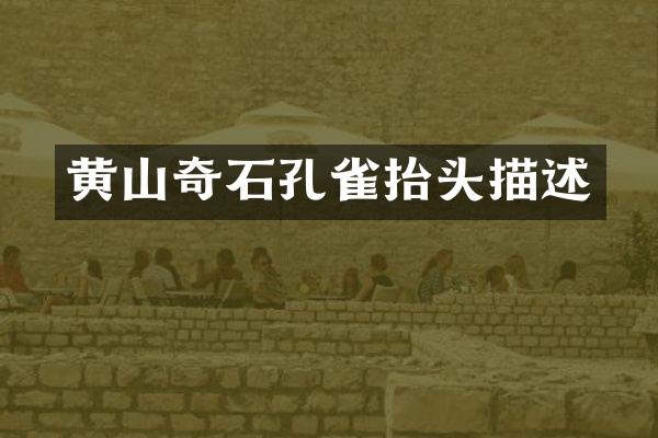 黄山奇石孔雀抬头描述