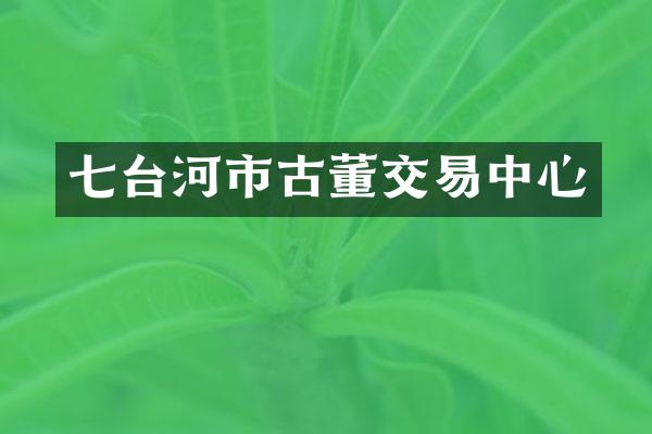 七台河市古董交易中心