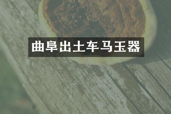 曲阜出土车马玉器