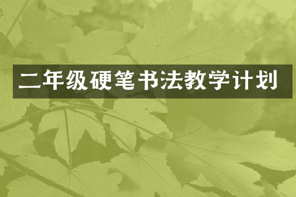 二年级硬笔书法教学计划