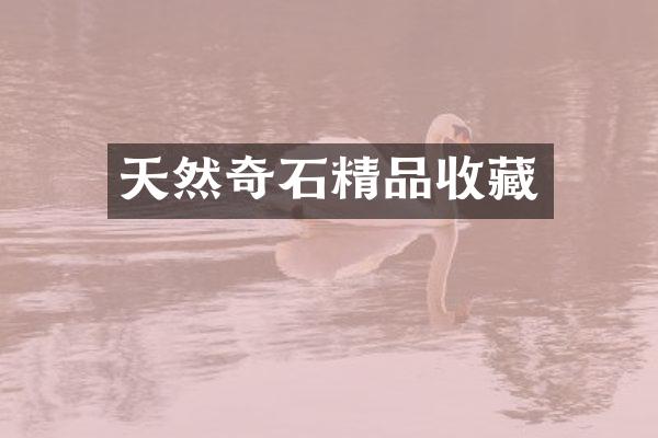 天然奇石精品收藏