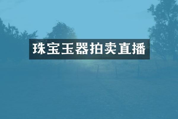珠宝玉器拍卖直播