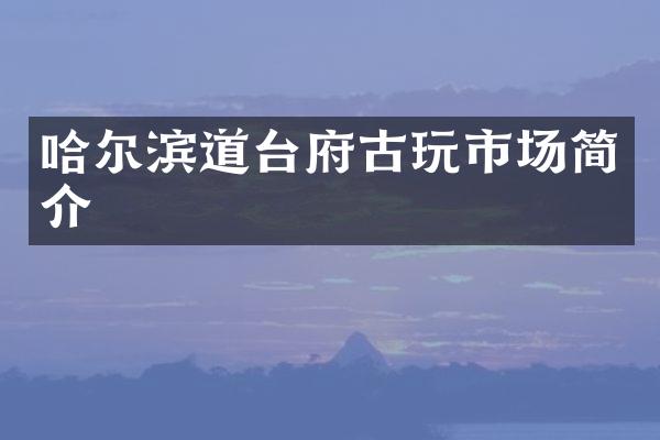 哈尔滨道台府古玩市场简介
