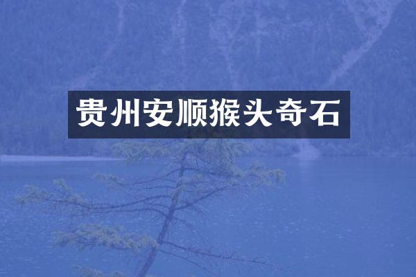 贵州安顺猴头奇石