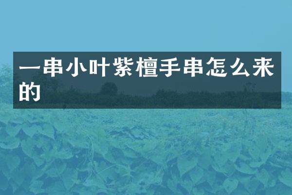 一串小叶紫檀手串怎么来的