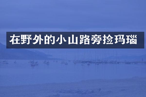 在野外的小山路旁捡玛瑙