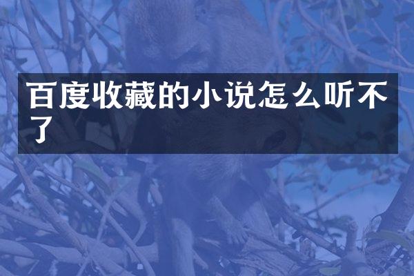 百度收藏的小说怎么听不了