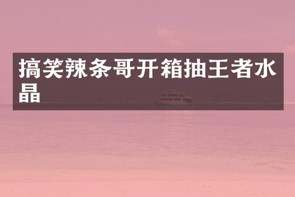 搞笑辣条哥开箱抽王者水晶