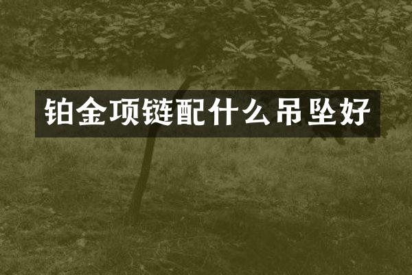 铂金项链吊坠好