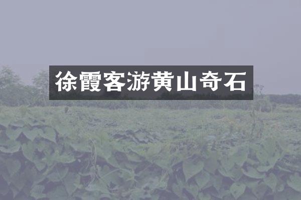 徐霞客游黄山奇石