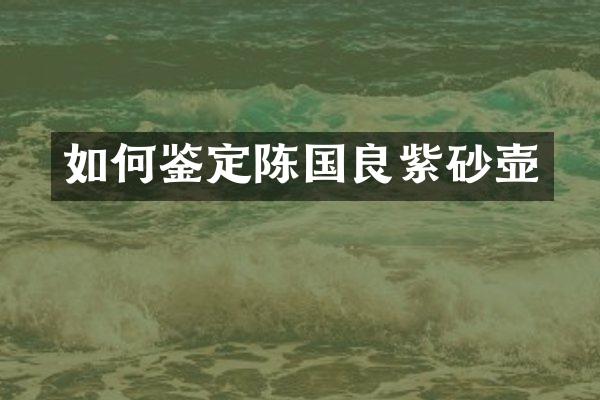 如何鉴定陈国良紫砂壶