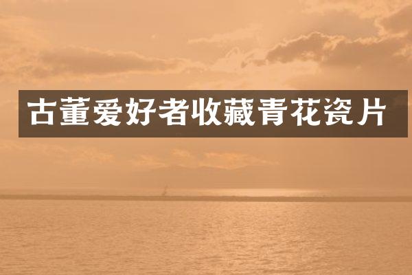 古董爱好者收藏青花瓷片