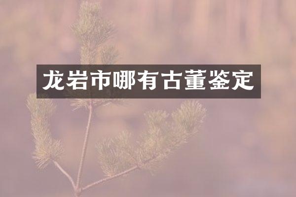 龙岩市哪有古董鉴定