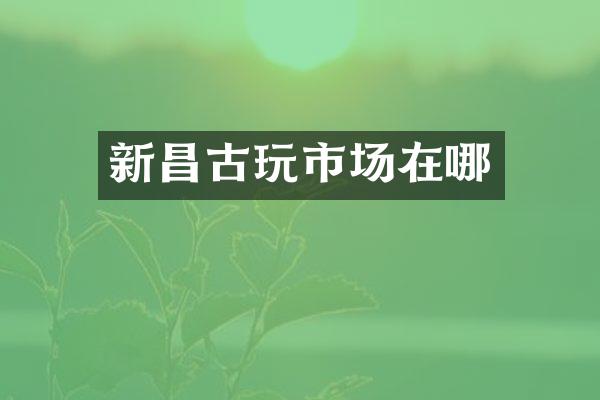 新昌古玩市场在哪