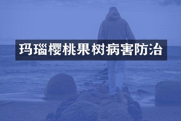 玛瑙樱桃果树病害防治